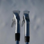 anser forged