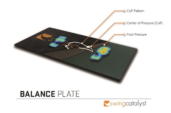 Balance Plate(2)