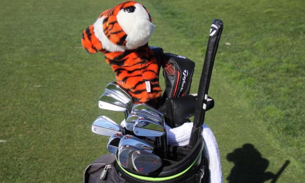 Bag for Woods, Tiger - 2019-Apr