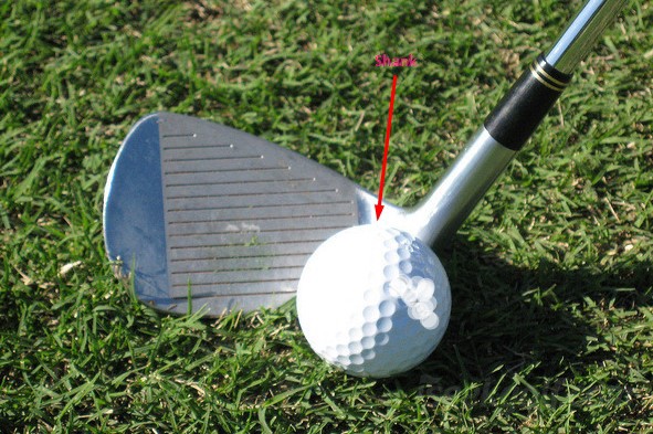 Fixing the shanks: How to stop shanking the golf ball – GolfWRX